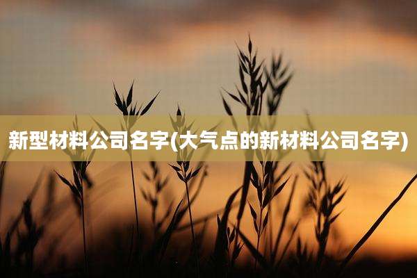新型材料公司名字(大气点的新材料公司名字)