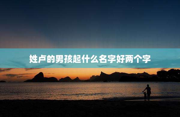 姓卢的男孩起什么名字好两个字