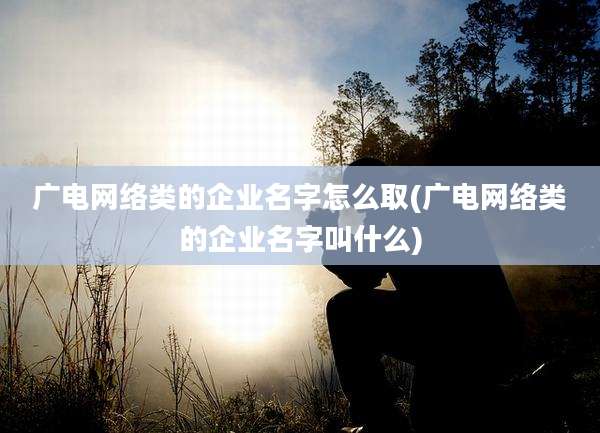 广电网络类的企业名字怎么取(广电网络类的企业名字叫什么)