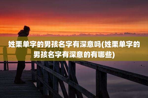 姓栗单字的男孩名字有深意吗(姓栗单字的男孩名字有深意的有哪些)