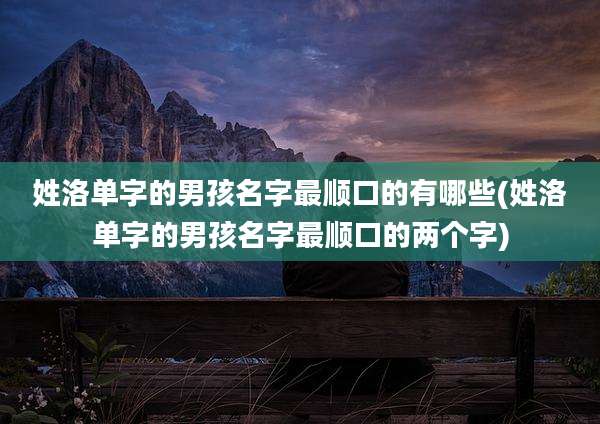 姓洛单字的男孩名字最顺口的有哪些(姓洛单字的男孩名字最顺口的两个字)
