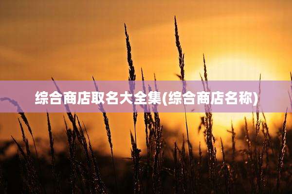 综合商店取名大全集(综合商店名称)