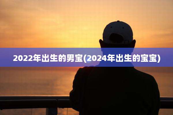 2022年出生的男宝(2024年出生的宝宝)