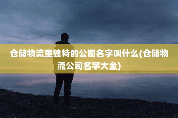 仓储物流里独特的公司名字叫什么(仓储物流公司名字大全)