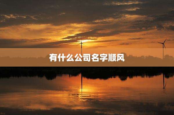 有什么公司名字顺风