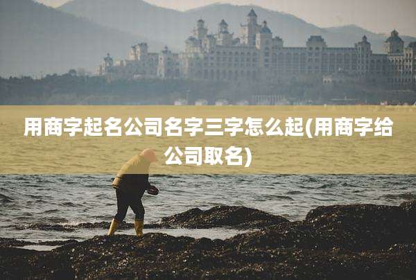 用商字起名公司名字三字怎么起(用商字给公司取名)