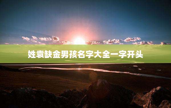 姓袁缺金男孩名字大全一字开头