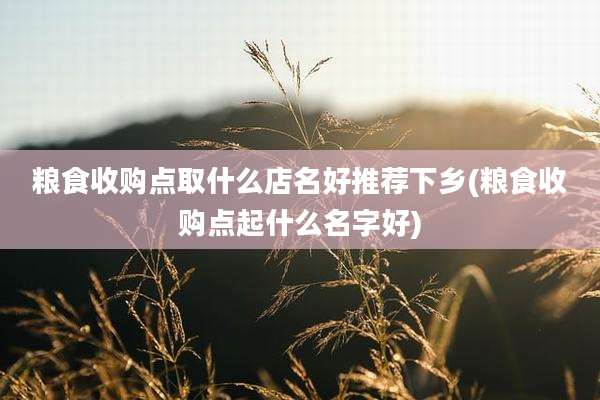 粮食收购点取什么店名好推荐下乡(粮食收购点起什么名字好)