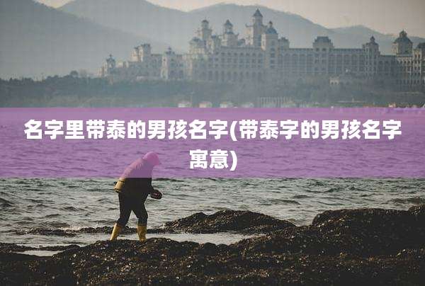 名字里带泰的男孩名字(带泰字的男孩名字寓意)