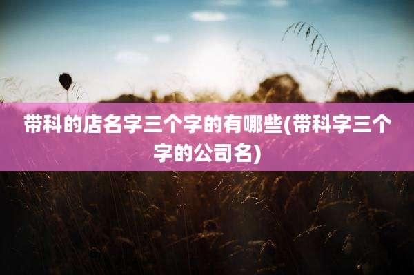 带科的店名字三个字的有哪些(带科字三个字的公司名)