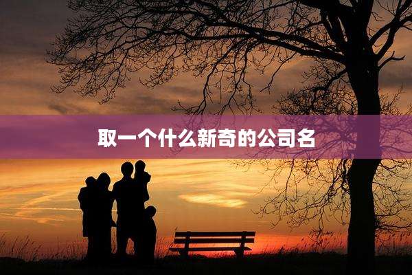 取一个什么新奇的公司名