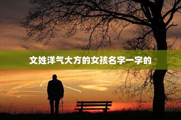文姓洋气大方的女孩名字一字的