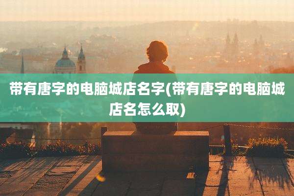 带有唐字的电脑城店名字(带有唐字的电脑城店名怎么取)