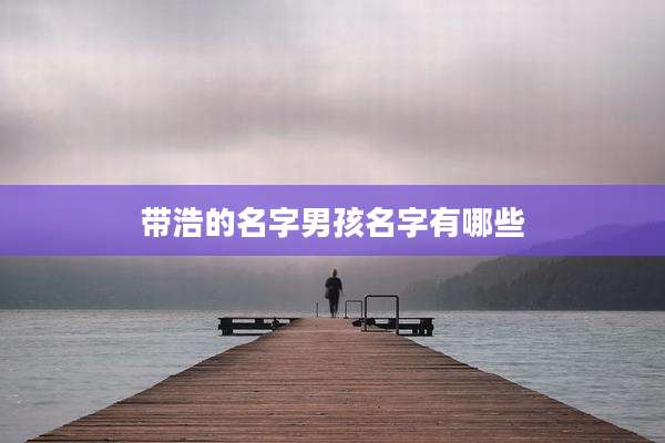 带浩的名字男孩名字有哪些