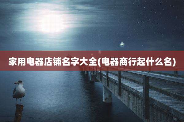 家用电器店铺名字大全(电器商行起什么名)