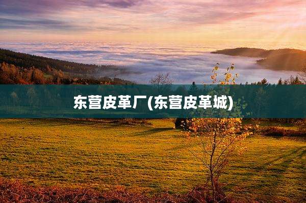 东营皮革厂(东营皮革城)