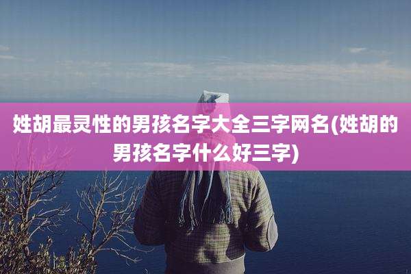 姓胡最灵性的男孩名字大全三字网名(姓胡的男孩名字什么好三字)