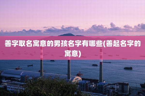 善字取名寓意的男孩名字有哪些(善起名字的寓意)