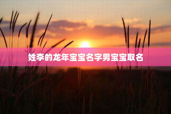 姓李的龙年宝宝名字男宝宝取名