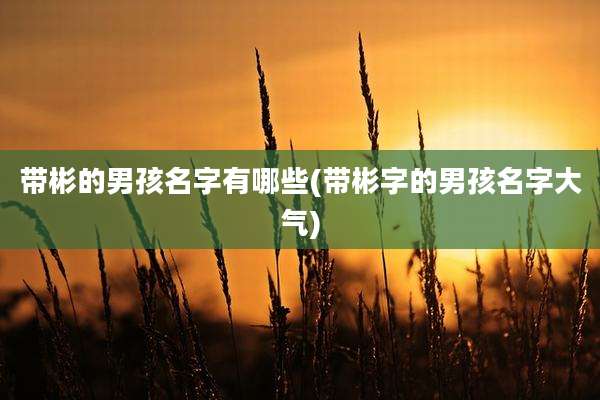 带彬的男孩名字有哪些(带彬字的男孩名字大气)