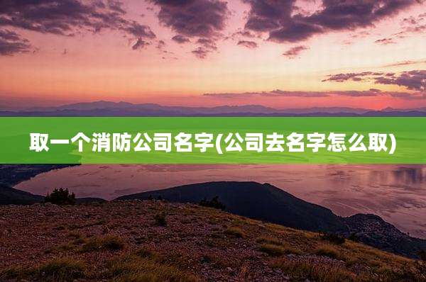 取一个消防公司名字(公司去名字怎么取)
