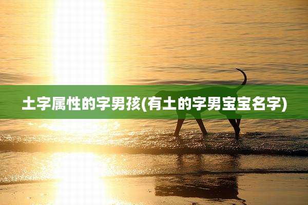 土字属性的字男孩(有土的字男宝宝名字)