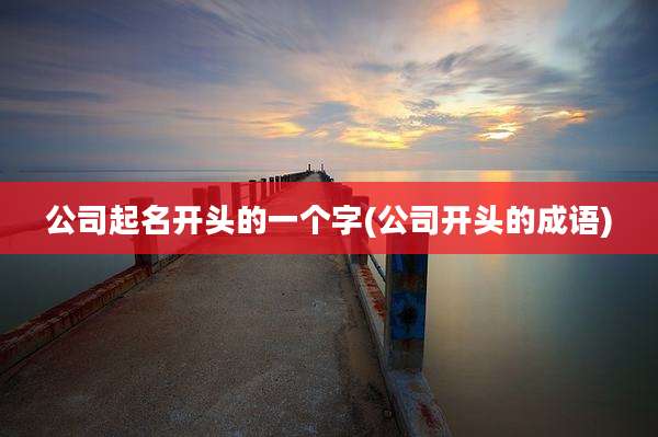 公司起名开头的一个字(公司开头的成语)