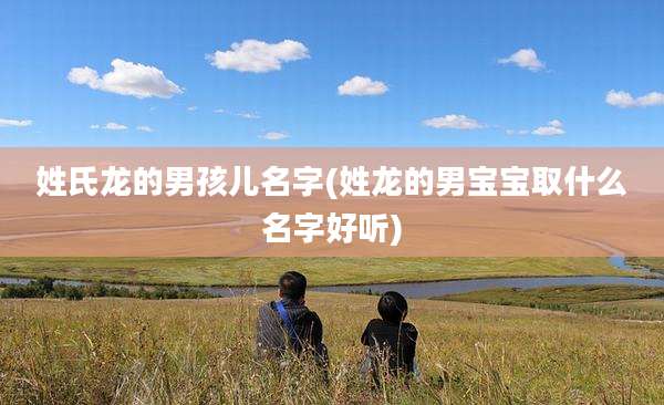姓氏龙的男孩儿名字(姓龙的男宝宝取什么名字好听)