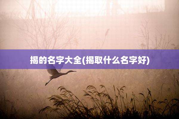 揭的名字大全(揭取什么名字好)