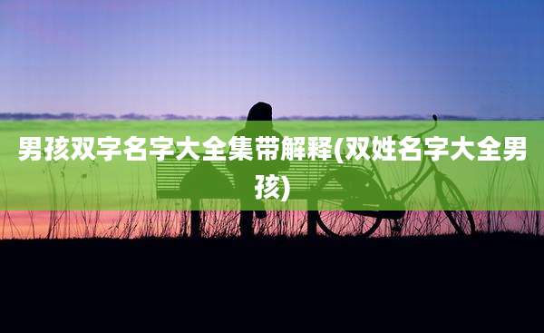 男孩双字名字大全集带解释(双姓名字大全男孩)