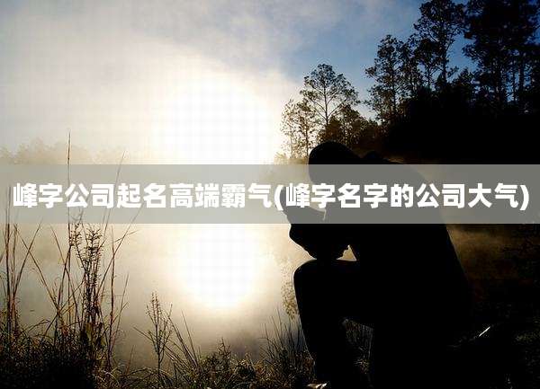 峰字公司起名高端霸气(峰字名字的公司大气)