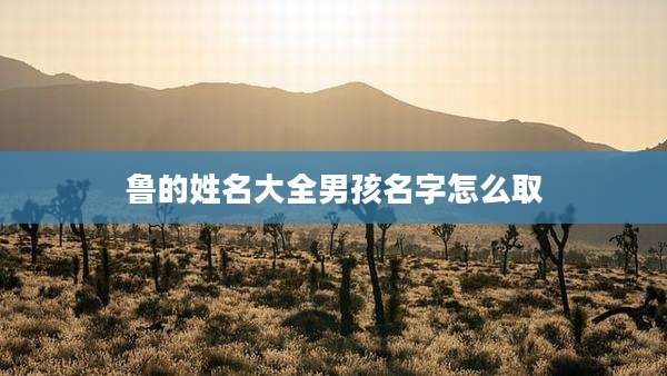 鲁的姓名大全男孩名字怎么取