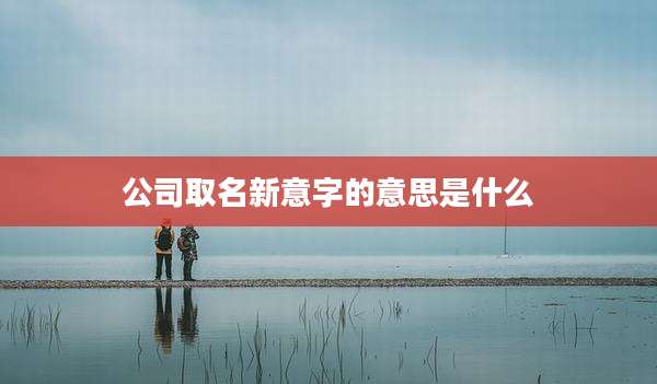 公司取名新意字的意思是什么