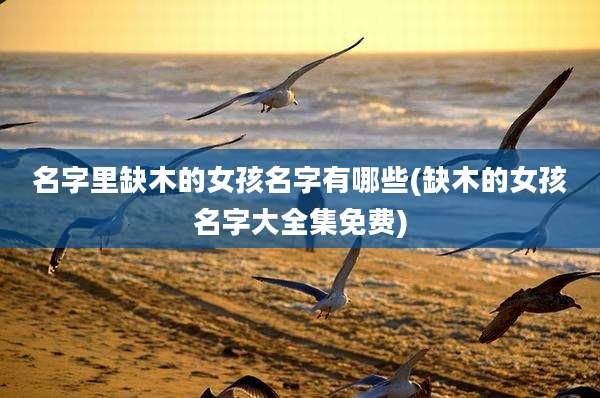 名字里缺木的女孩名字有哪些(缺木的女孩名字大全集免费)