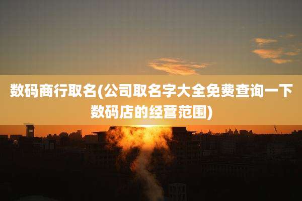 数码商行取名(公司取名字大全免费查询一下数码店的经营范围)