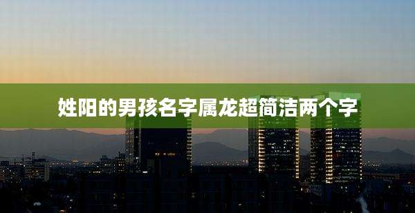 姓阳的男孩名字属龙超简洁两个字