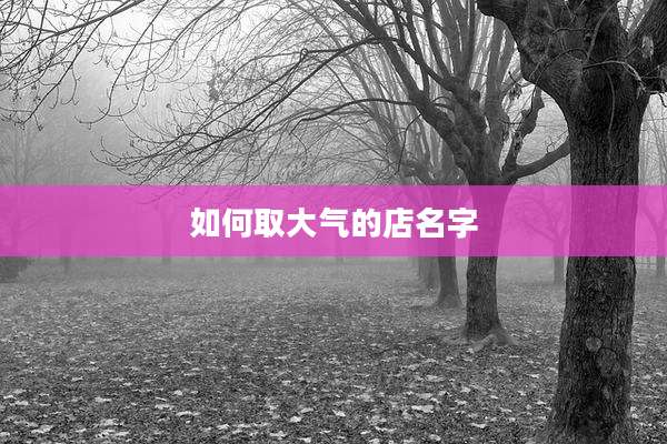 如何取大气的店名字
