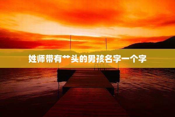 姓师带有艹头的男孩名字一个字