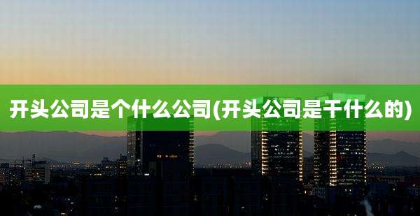 开头公司是个什么公司(开头公司是干什么的)
