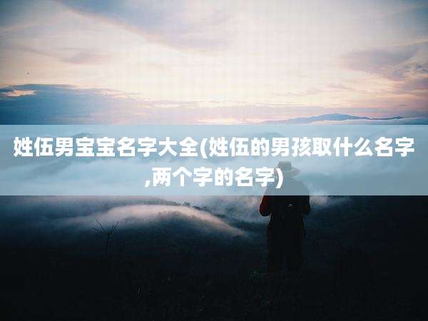 姓伍男宝宝名字大全(姓伍的男孩取什么名字,两个字的名字)