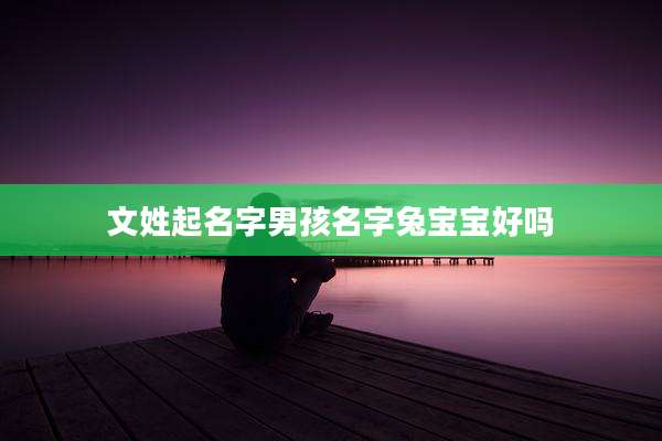 文姓起名字男孩名字兔宝宝好吗