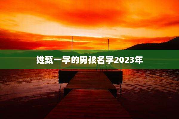 姓甄一字的男孩名字2023年