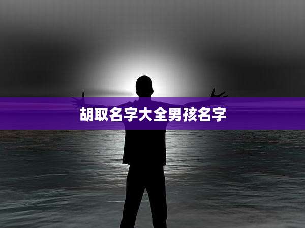 胡取名字大全男孩名字