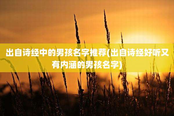 出自诗经中的男孩名字推荐(出自诗经好听又有内涵的男孩名字)