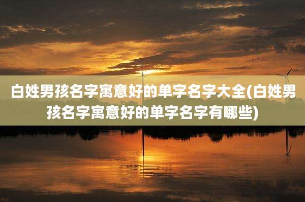 白姓男孩名字寓意好的单字名字大全(白姓男孩名字寓意好的单字名字有哪些)