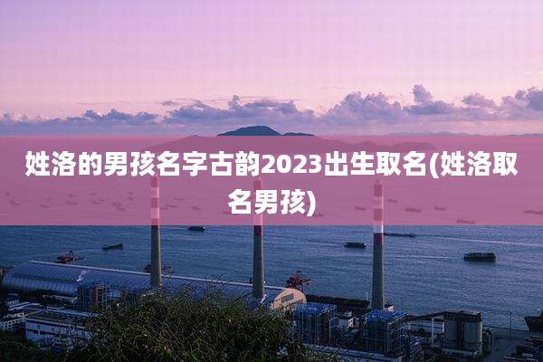 姓洛的男孩名字古韵2023出生取名(姓洛取名男孩)