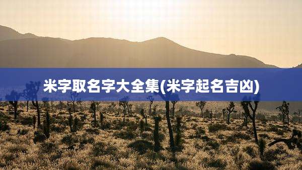 米字取名字大全集(米字起名吉凶)