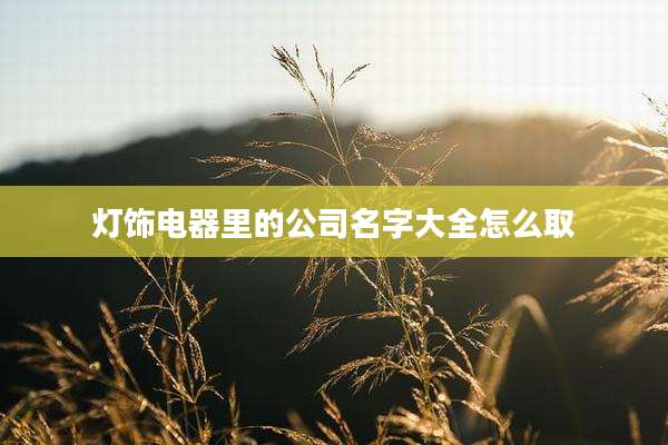 灯饰电器里的公司名字大全怎么取
