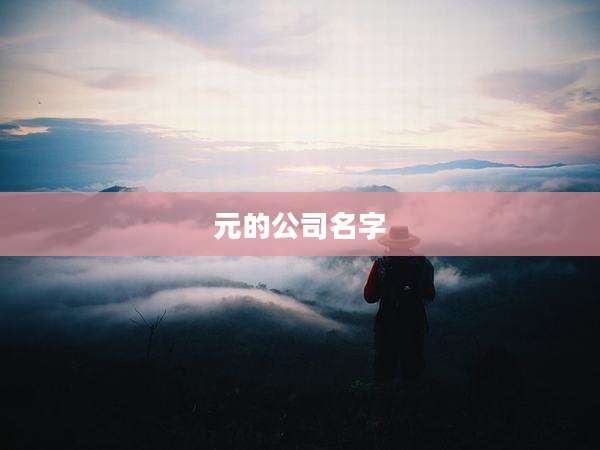 元的公司名字