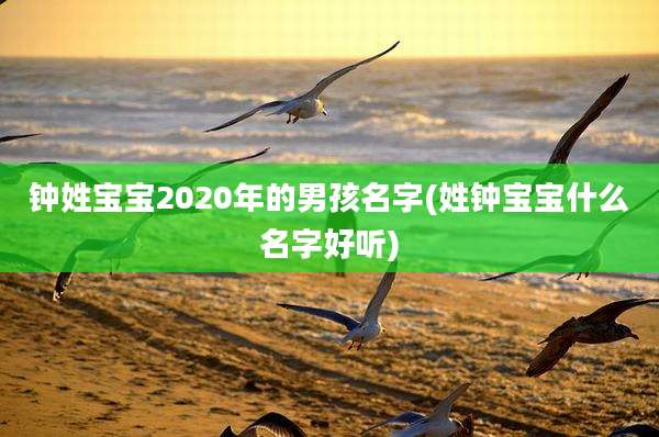 钟姓宝宝2020年的男孩名字(姓钟宝宝什么名字好听)
